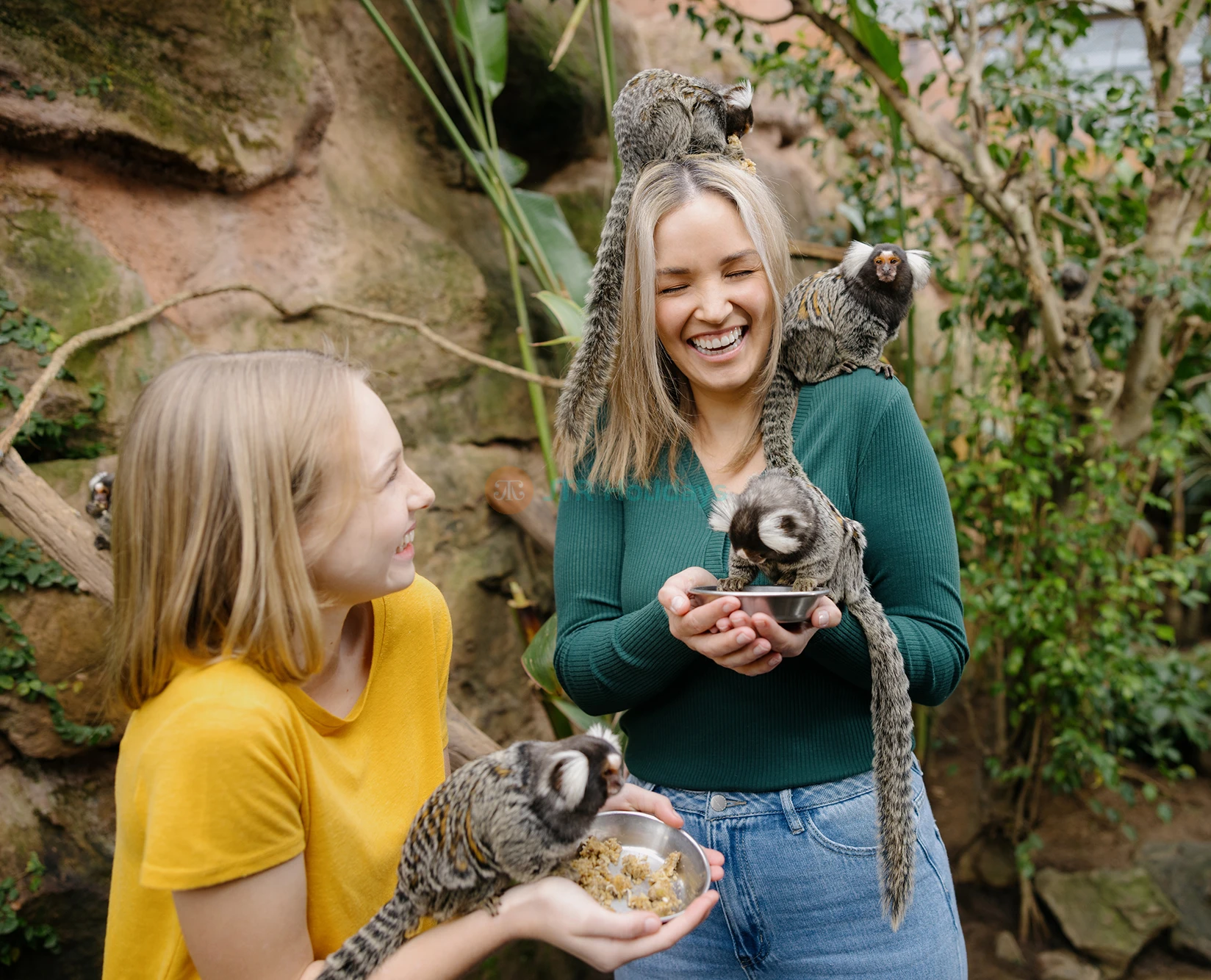Paradise Country Farm Gold Coast | Authentic Australian Farm Experience - JTR Holidays