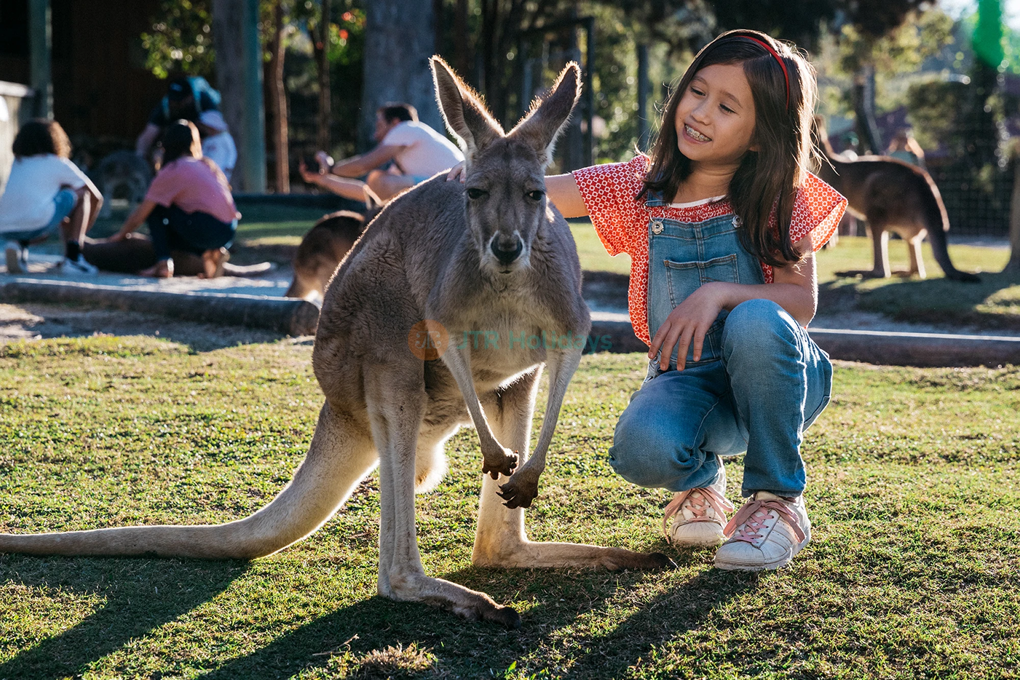 Paradise Country Farm Gold Coast | Authentic Australian Farm Experience - JTR Holidays