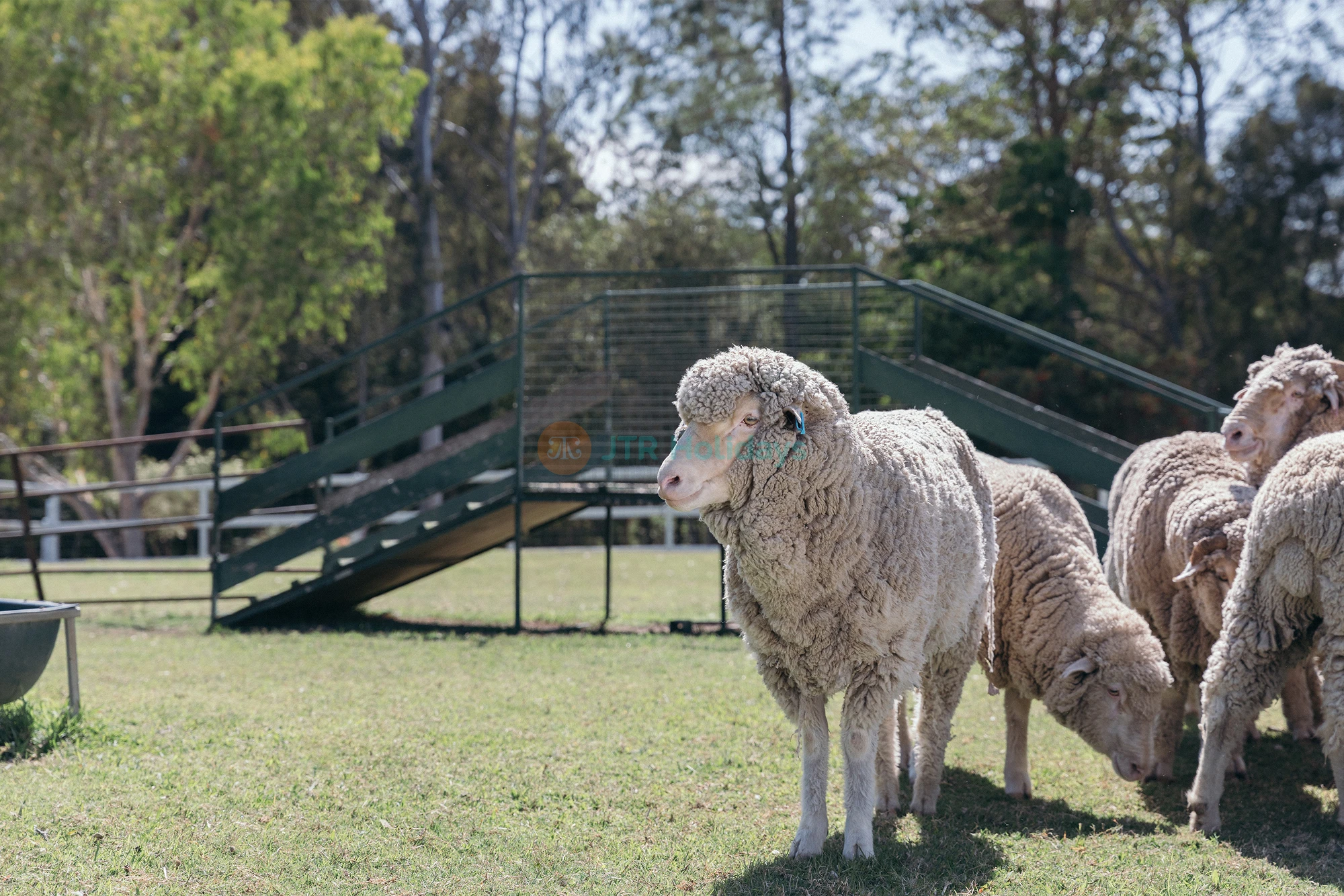 Paradise Country Farm Gold Coast | Authentic Australian Farm Experience - JTR Holidays
