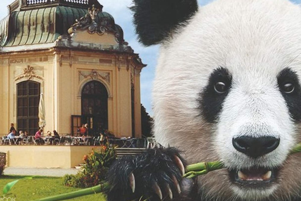 美泉宫动物园门票 - 图片 4 的 5