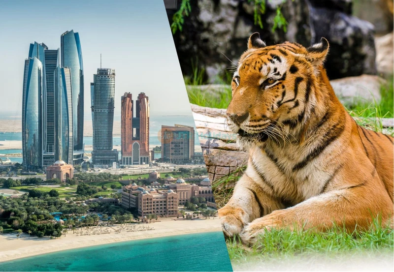 Tour della città di Abu Dhabi da Dubai con Grande Moschea + Emirates Zoo o Qasr Al Watan