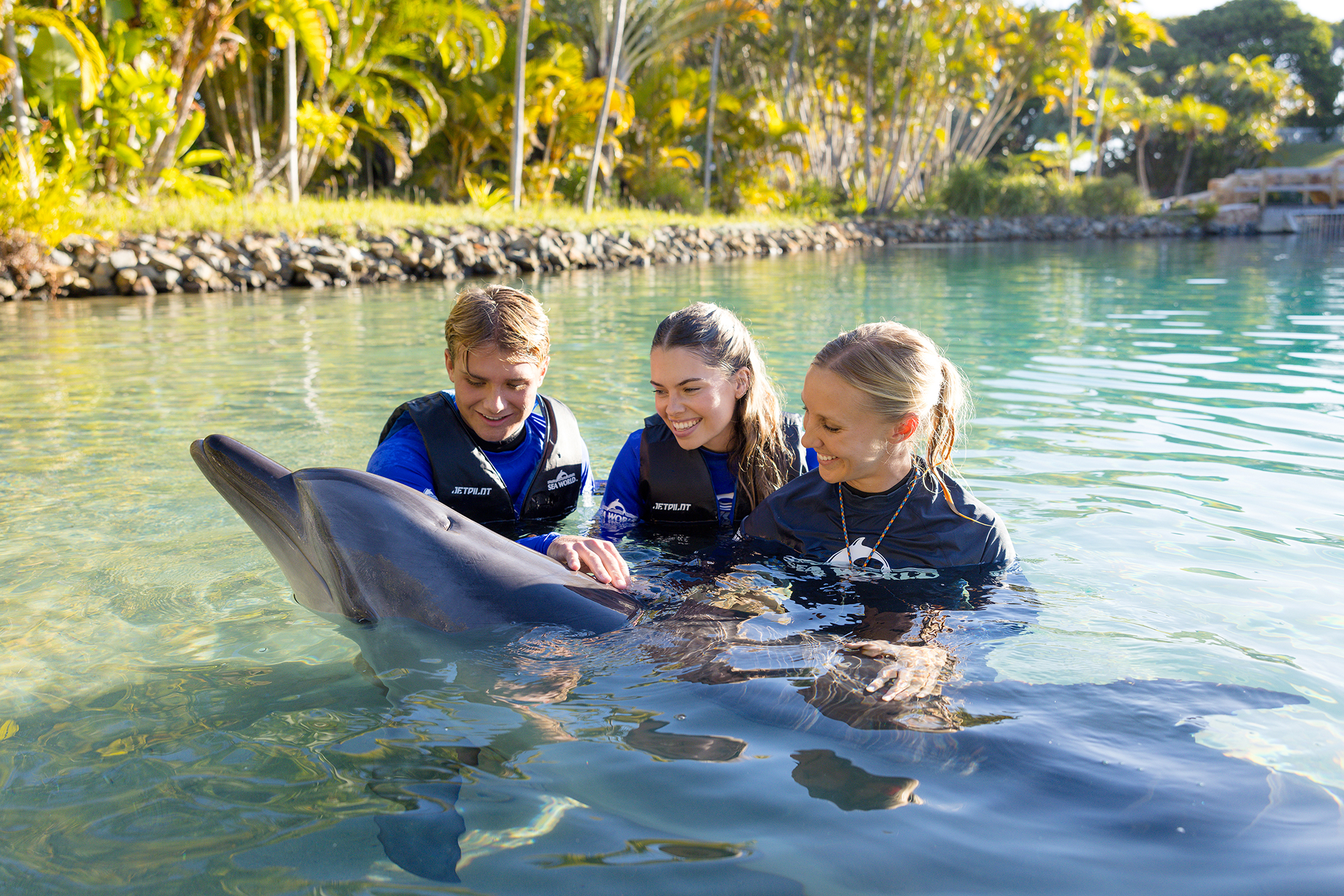 Sea World Gold Coast Australie - Image 5 sur 5