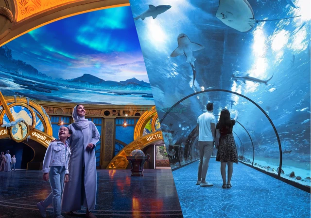 SeaWorld Abu Dhabi + National Aquarium Abu Dhabi