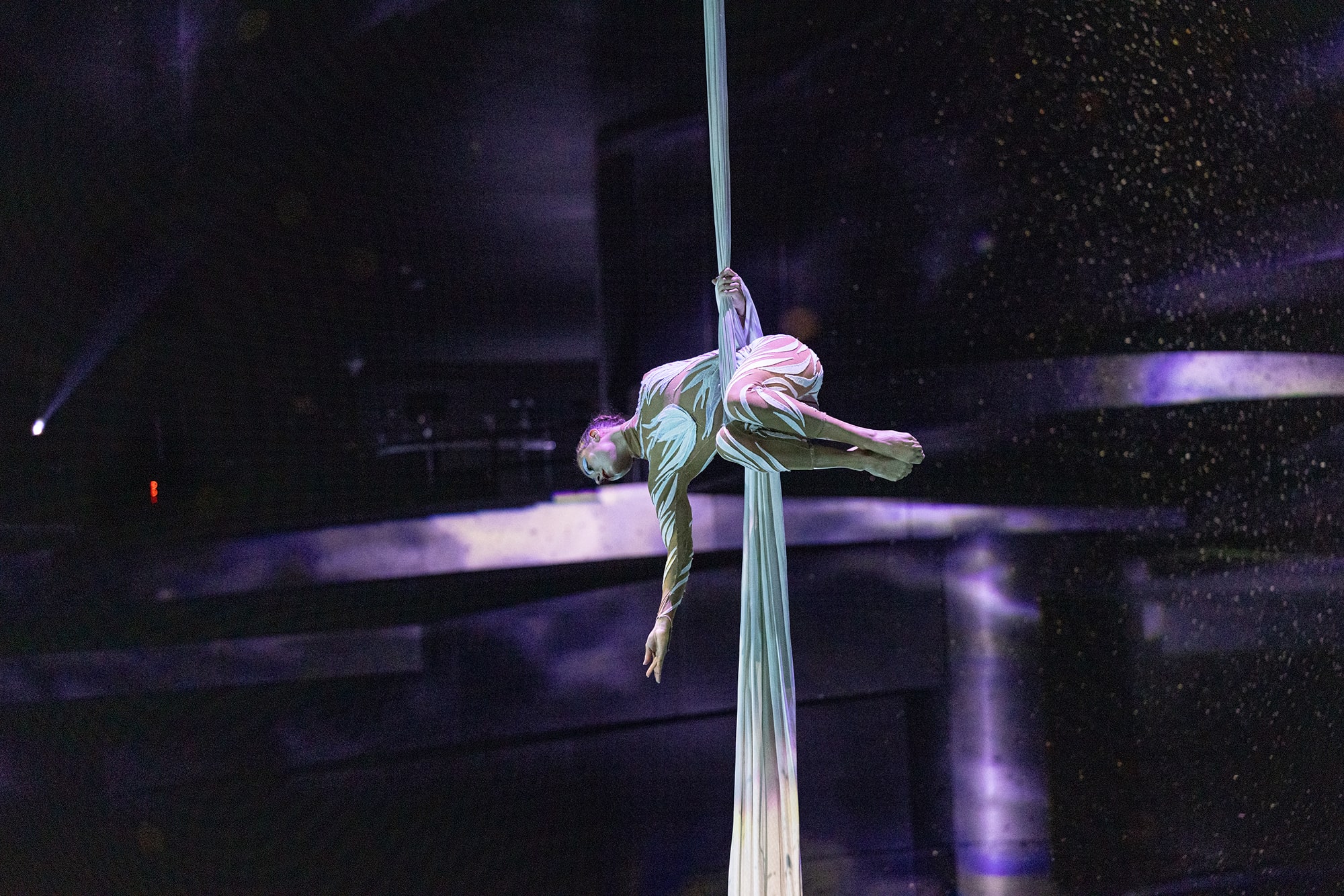 La Perle Show with Canal Dinner Cruise - Image 4 of 10