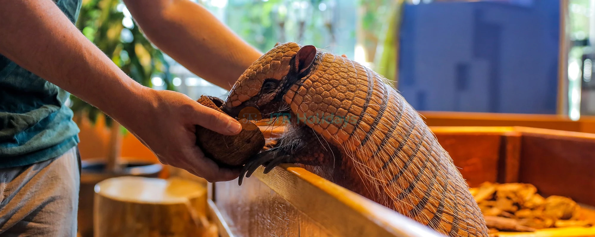 The Green Planet  Dubai Tickets | Indoor Rainforest Dubai | Save 40% OFF - JTR Holidays - Image 3 of 5