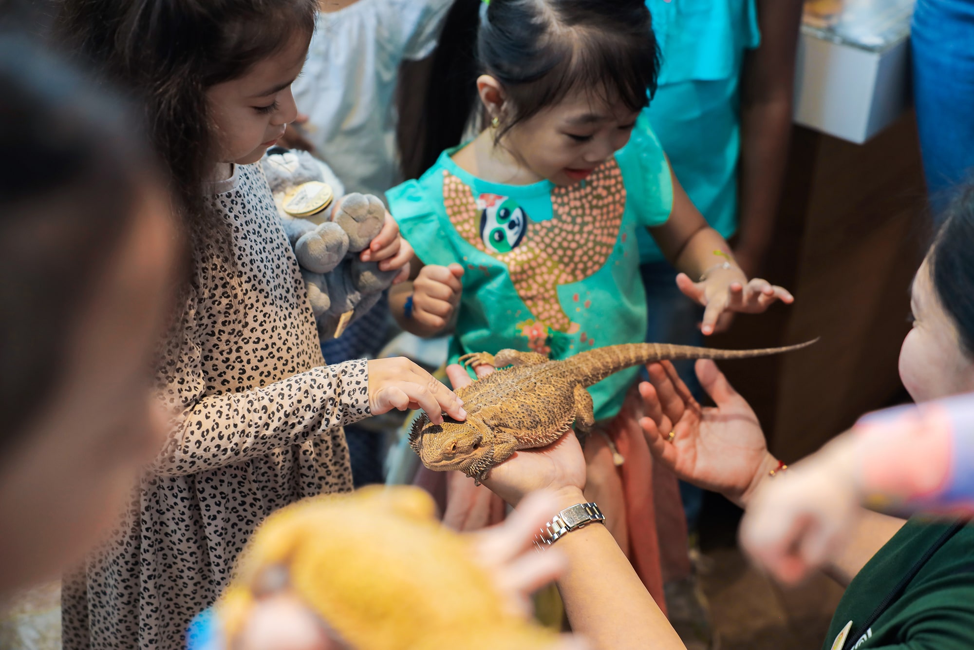 The Green Planet Dubai - Image 3 of 5