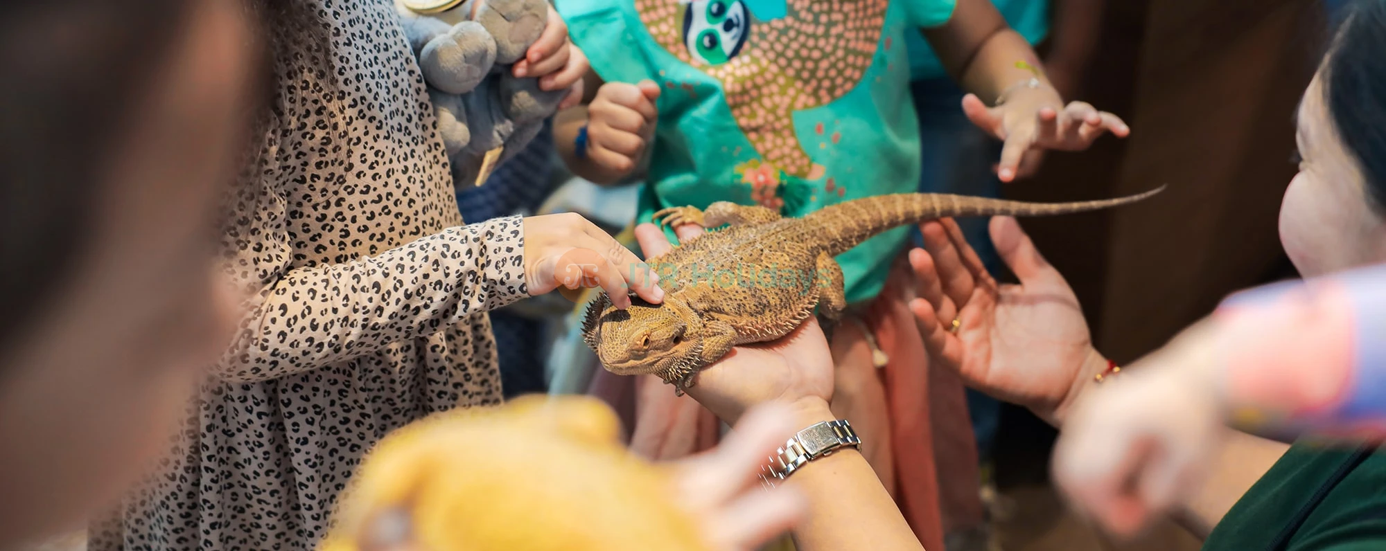 The Green Planet  Dubai Tickets | Indoor Rainforest Dubai | Save 40% OFF - JTR Holidays - Image 4 of 5