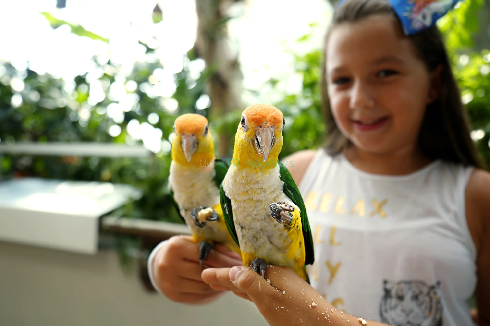 The Green Planet  Dubai Tickets | Indoor Rainforest Dubai | Save 40% OFF - JTR Holidays - Image 9 of 11