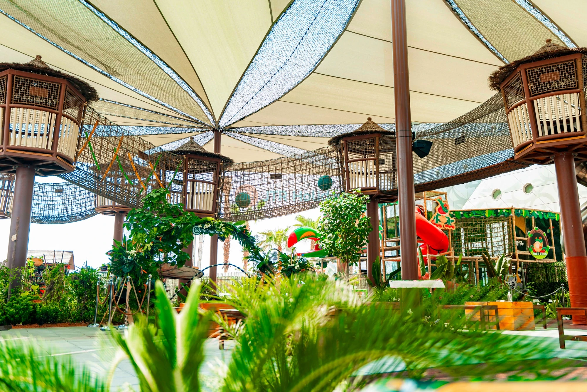 The Green Planet  Dubai Tickets | Indoor Rainforest Dubai | Save 40% OFF - JTR Holidays - Image 10 of 11