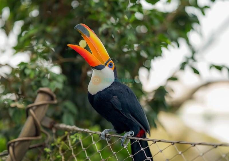 The Green Planet Dubai