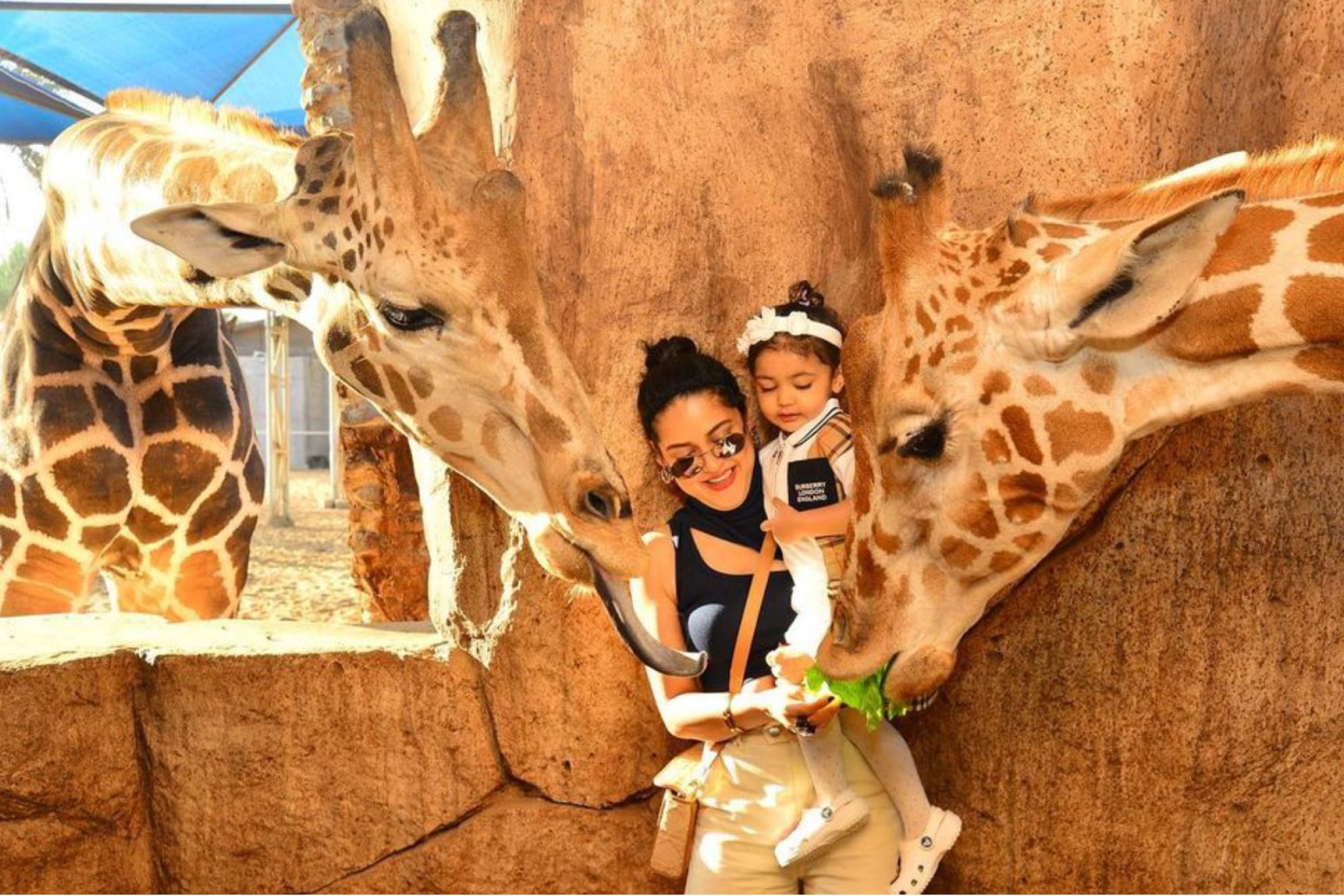 Abu Dhabi City Tour from Dubai with Grand Mosque + Emirates Zoo or Qasr Al Watan - Image 3 of 5