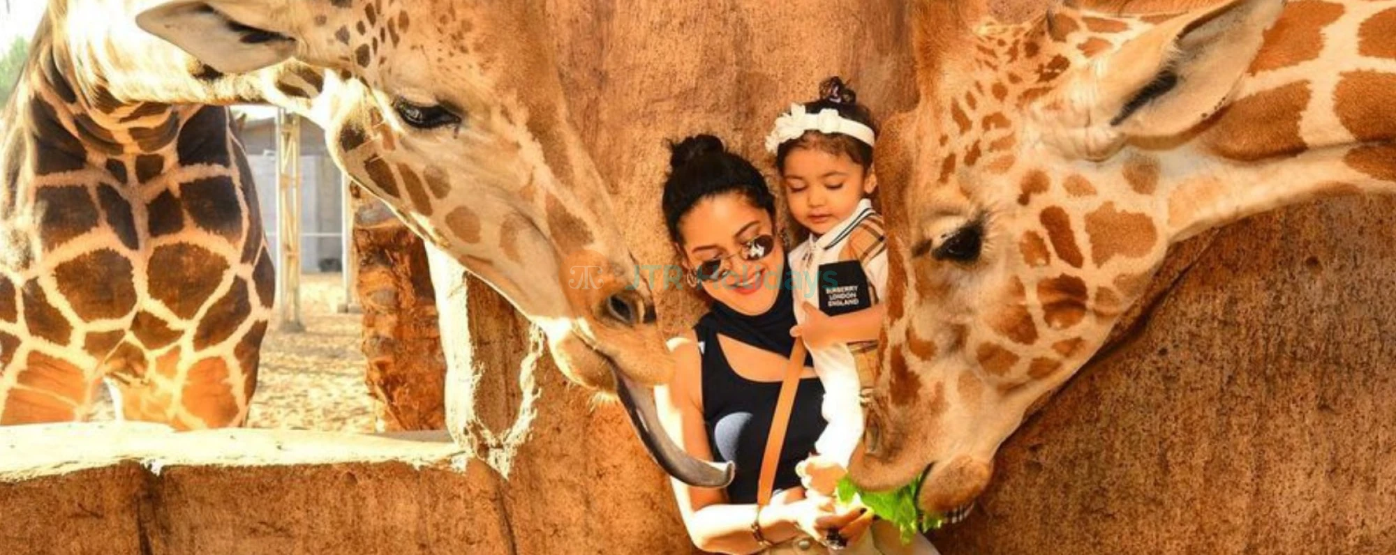 Abu Dhabi City Tour with Emirates Park Zoo Tickets - JTR Holidays