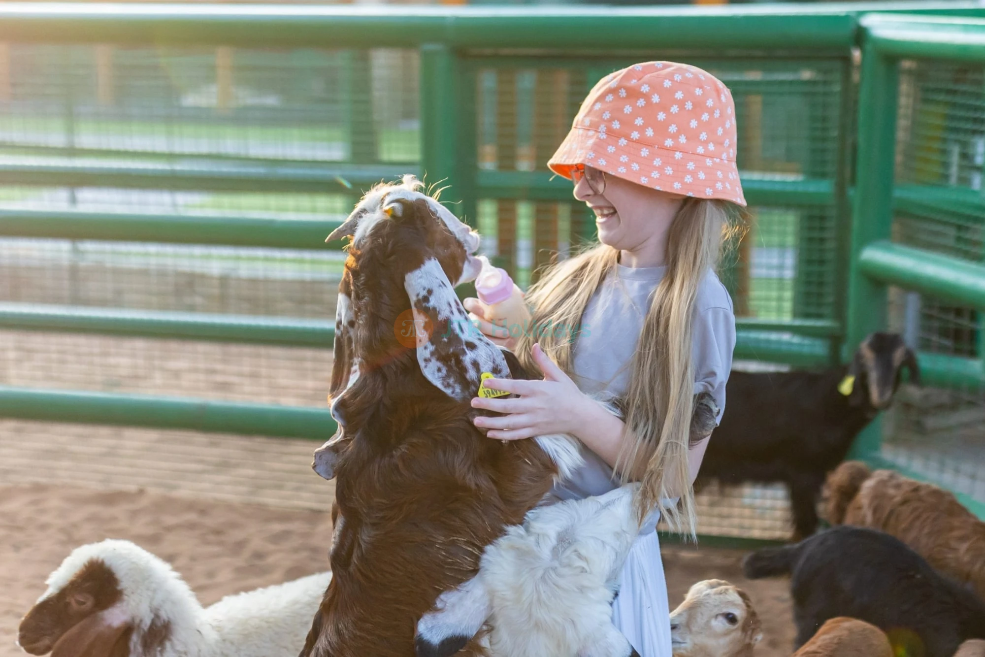 Abu Dhabi City Tour with Emirates Park Zoo Tickets - JTR Holidays