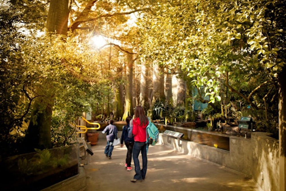 Билет в Аквариум Флориды - Изображение 3 из 5