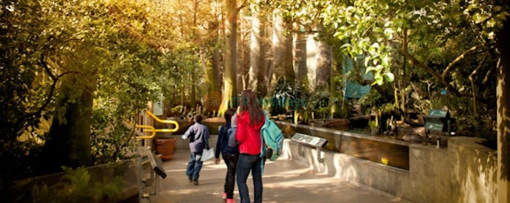 Buy The Florida Aquarium Tickets - JTR Holidays - Image 3 of 5