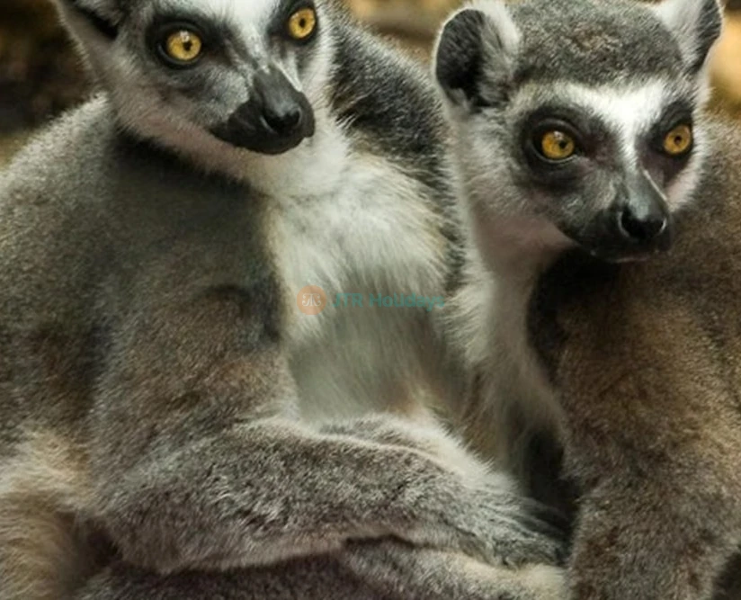 Buy The Florida Aquarium Tickets - JTR Holidays - Image 5 of 5