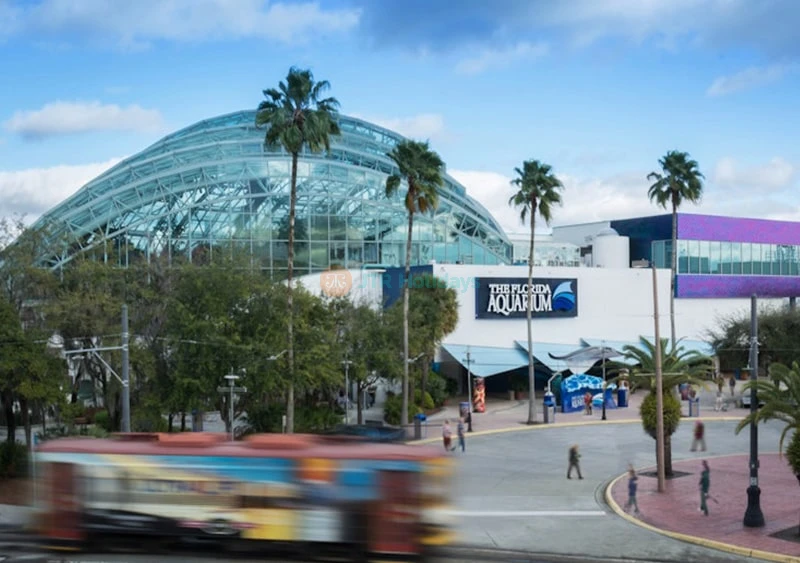 Biglietto per The Florida Aquarium