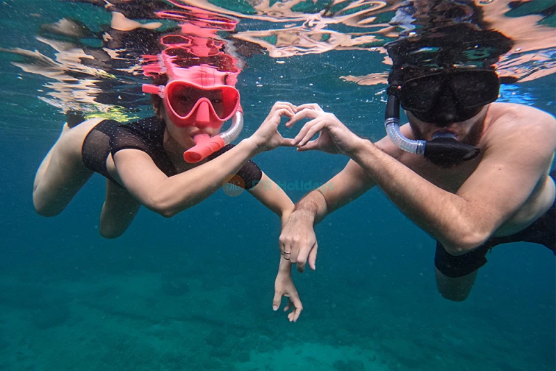 Avventura di Immersioni e Snorkeling a Fujairah con Pranzo BBQ