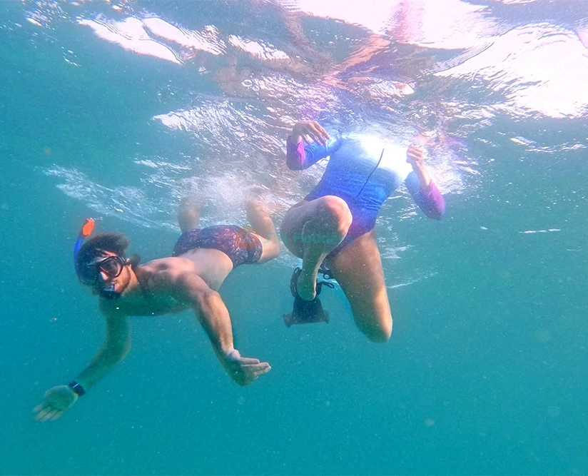 Snorkel & Dive with Turtles in Fujairah | BBQ Adventure - Image 2 of 5