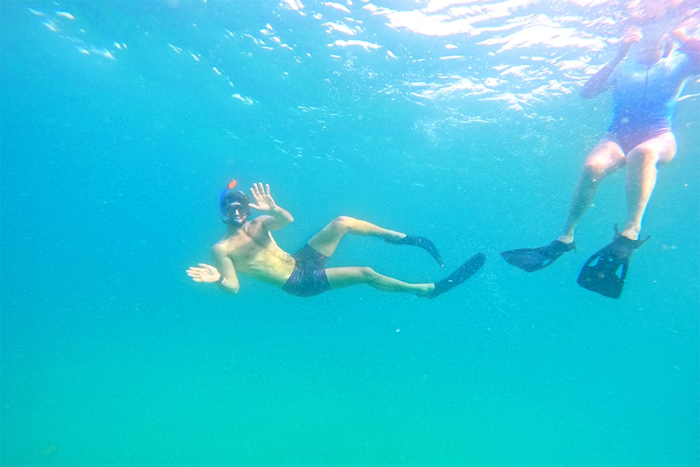 Fujairah Dive & Snorkel Adventure with BBQ Lunch - Image 3 of 5