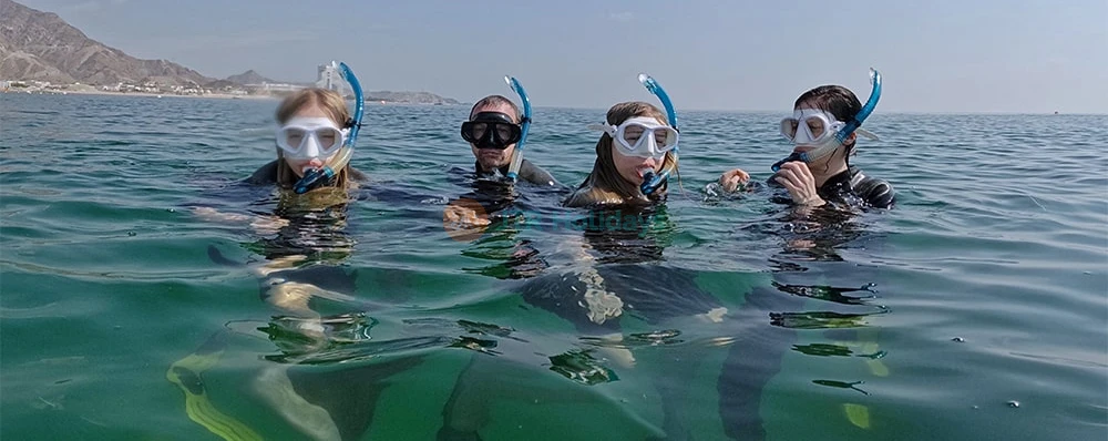 Snorkel & Dive with Turtles in Fujairah | BBQ Adventure - Image 4 of 5