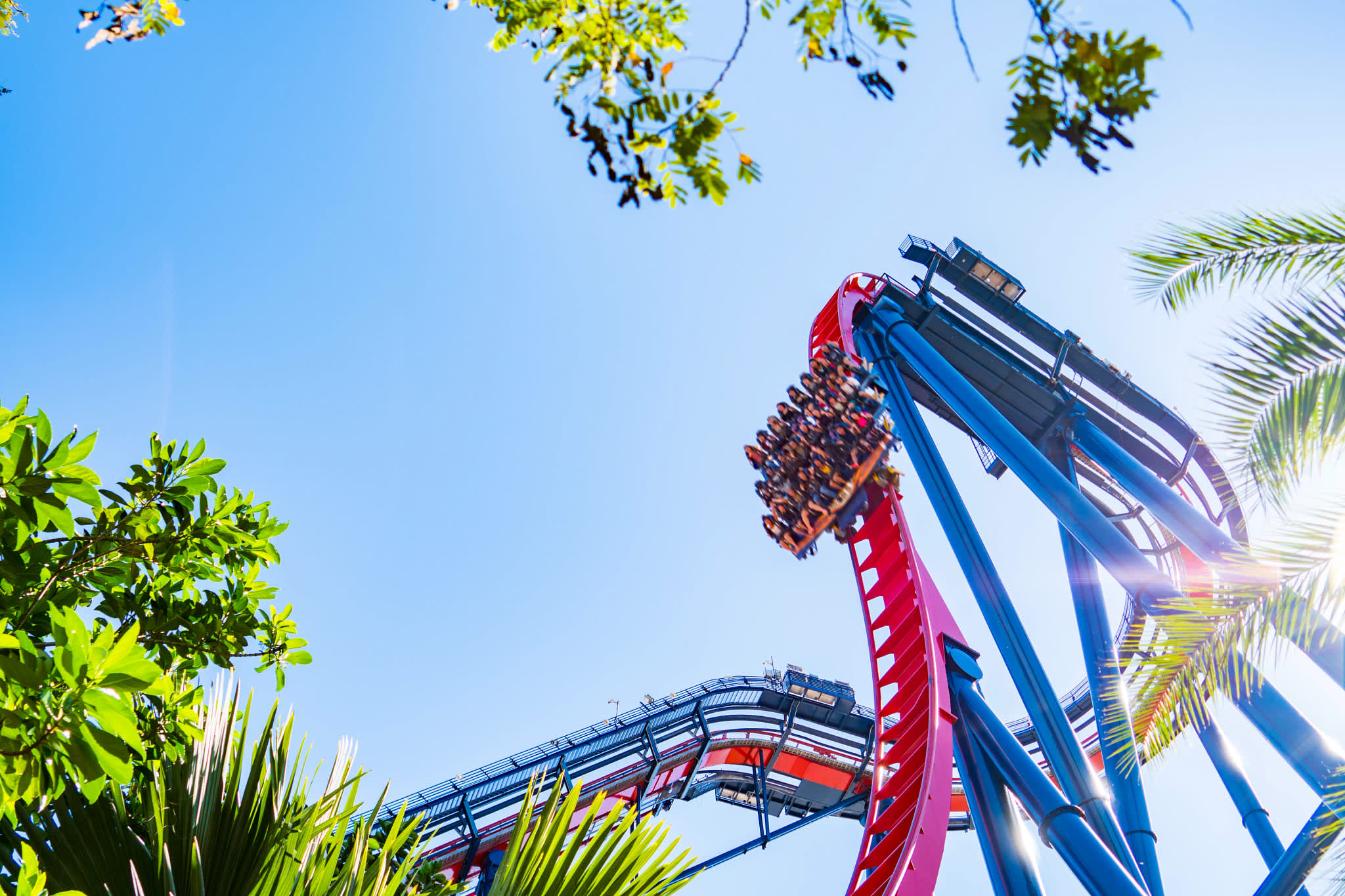 Busch Gardens Tampa Bay Admission Tickets - Get full-day access to Busch Gardens Tampa Bay with a Single Day Ticket. Enjoy thrilling roller coasters, live shows, and over 200 animal exhibits. Perfect for families and thrill seekers. Book now for an unforgettable Florida theme park experience! Busch Gardens Tampa Bay Admission Tickets - Image 5 of 5