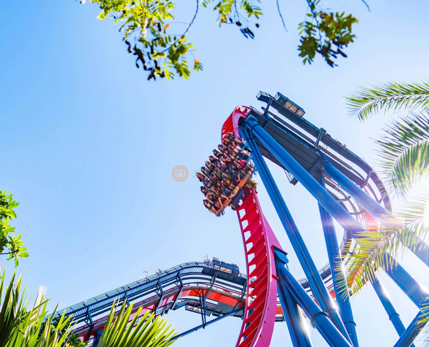 Entradas de Admisión para Busch Gardens Tampa Bay - Image 5 of 6