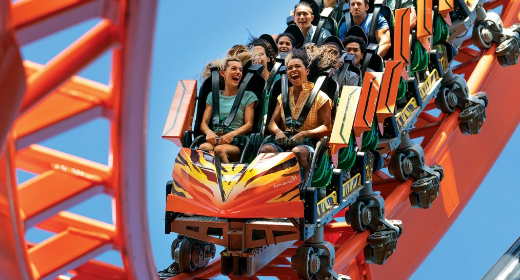 Busch Gardens Tampa Bay Single Day Ticket Thrilling Rides & Wildlife Adventure - Image 1 of 5
