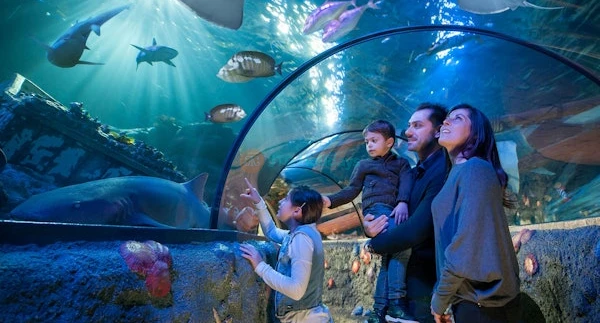 Gardaland SEA LIFE Aquarium Ticket - Image 1 of 5