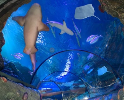 Entrada al Acuario Gardaland SEA LIFE - Imagen 2 de 5