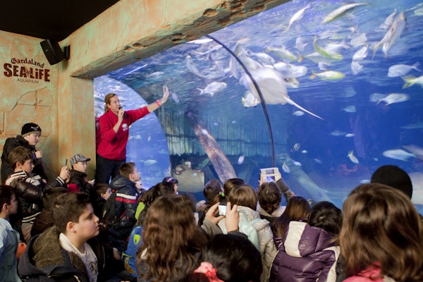 Gardaland SEA LIFE Aquarium Ticket - Bild 5 von 5