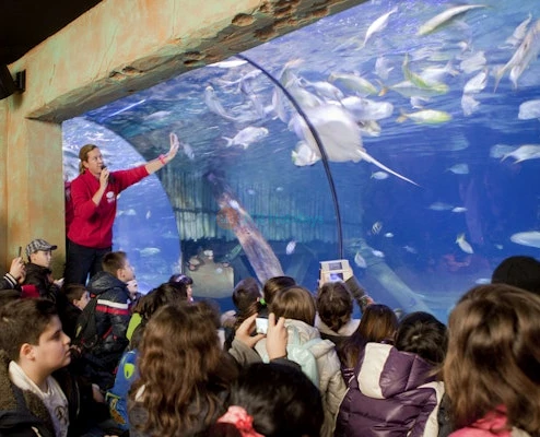 Gardaland SEA LIFE Aquarium Ticket - Image 5 of 5