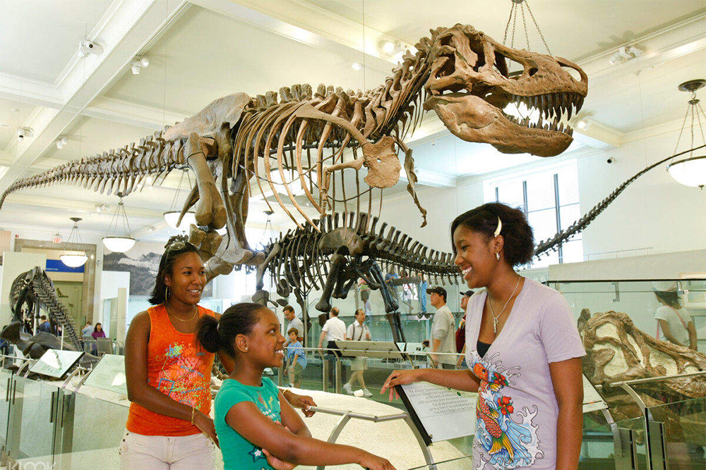 Go City New York 3 Auswahl Pass - Image 3 of 5