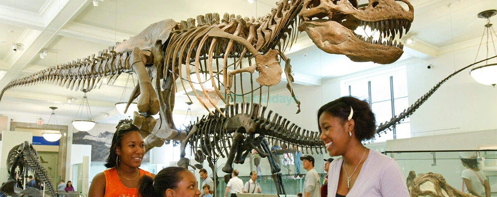 Go City New York Explorer 3 Pass Visit 3 Top NYC Attractions & Save - Image 3 of 5