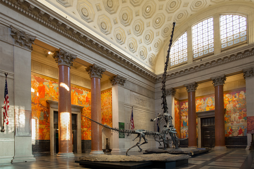 Go City New York 4 Auswahl Pass - Image 3 of 5