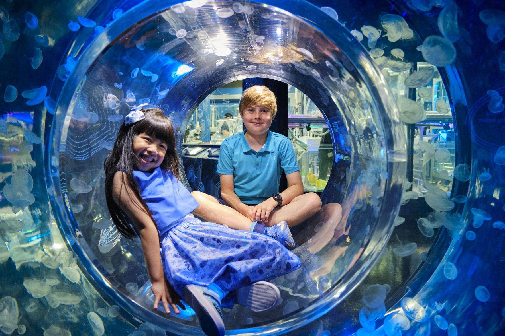 Acuario SEA LIFE Melbourne - Consigue tus entradas para el Acuario Sea Life de Melbourne a un excelente precio con JTR Holidays, y disfruta de un día fantástico con las personas que amas. Acuario SEA LIFE Melbourne - Imagen 2 de 5