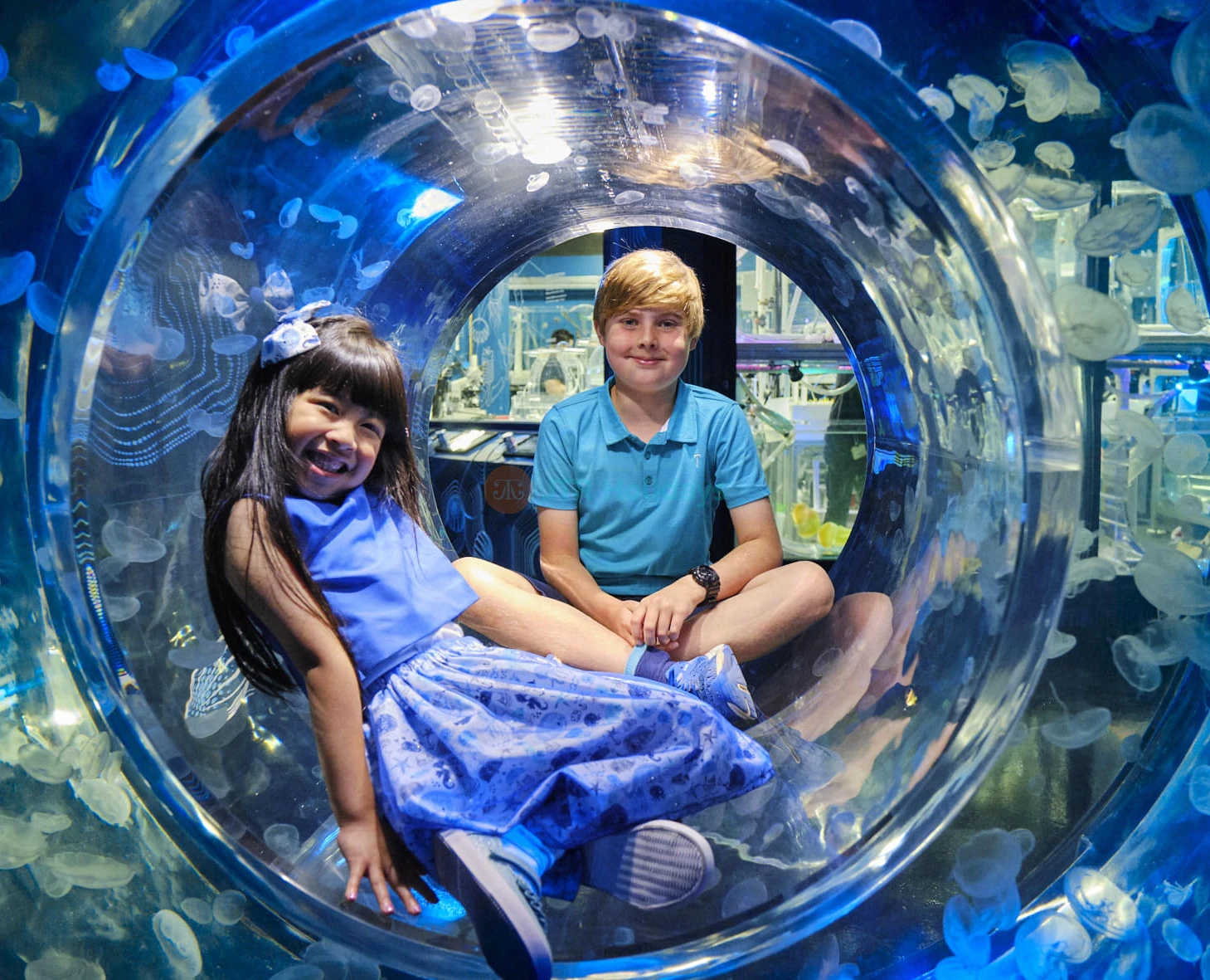 SEA LIFE Melbourne Aquarium - Image 2 of 5