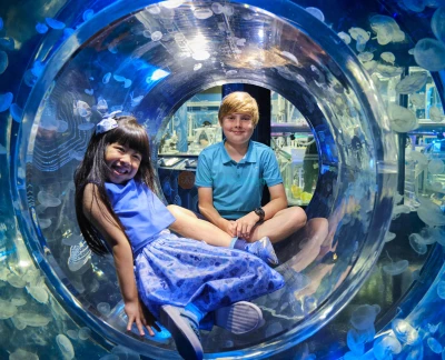 SEA LIFE Melbourne Aquarium - Image 2 of 5