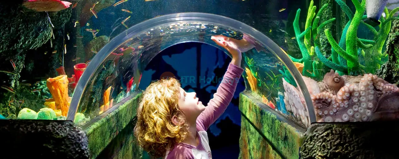 SEA LIFE Melbourne Aquarium - Image 3 of 5