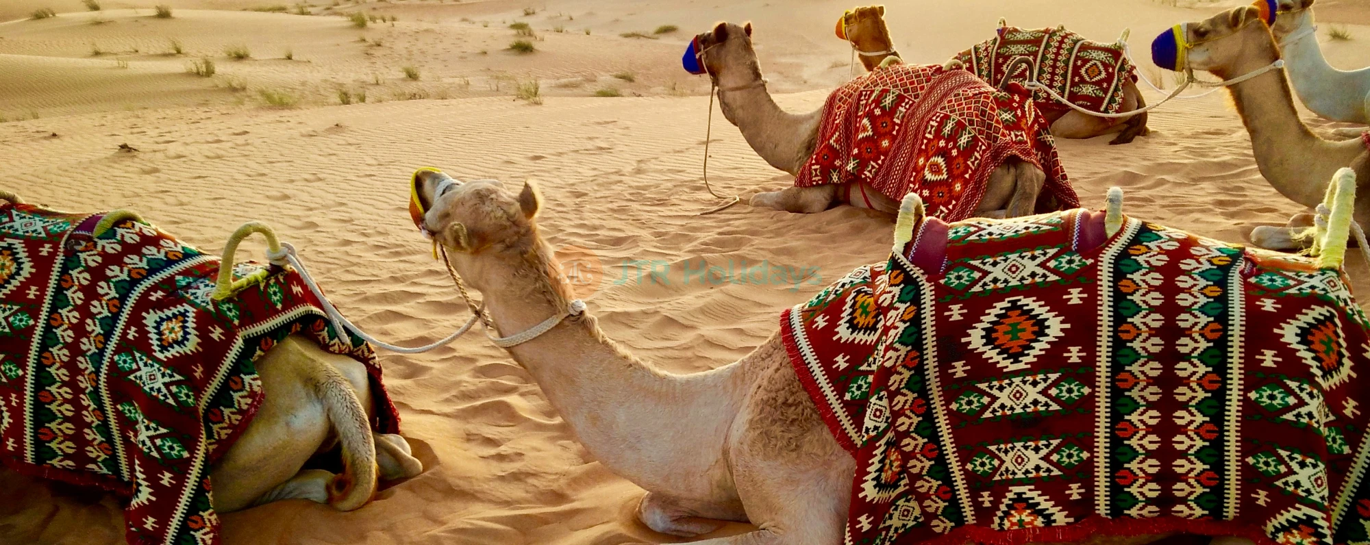 Explore Dubai And Abu Dhabi - 4 Nights 5 Days - Image 4 of 5