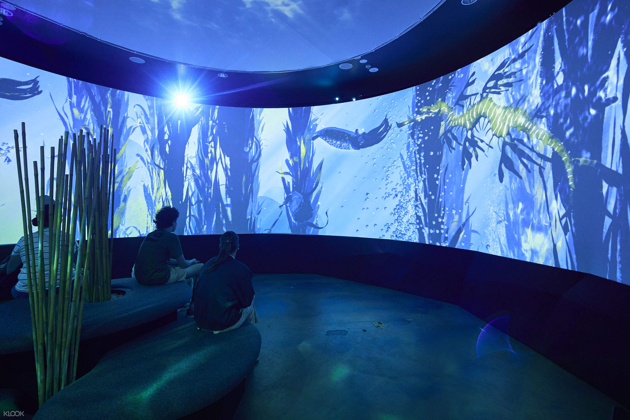 Aquarium SEA LIFE de Melbourne - Obtenez vos billets pour l'Aquarium Sea Life de Melbourne à un excellent prix avec JTR Holidays, et profitez d'une journée formidable avec les personnes que vous aimez. Aquarium SEA LIFE de Melbourne - Image 1 sur 5
