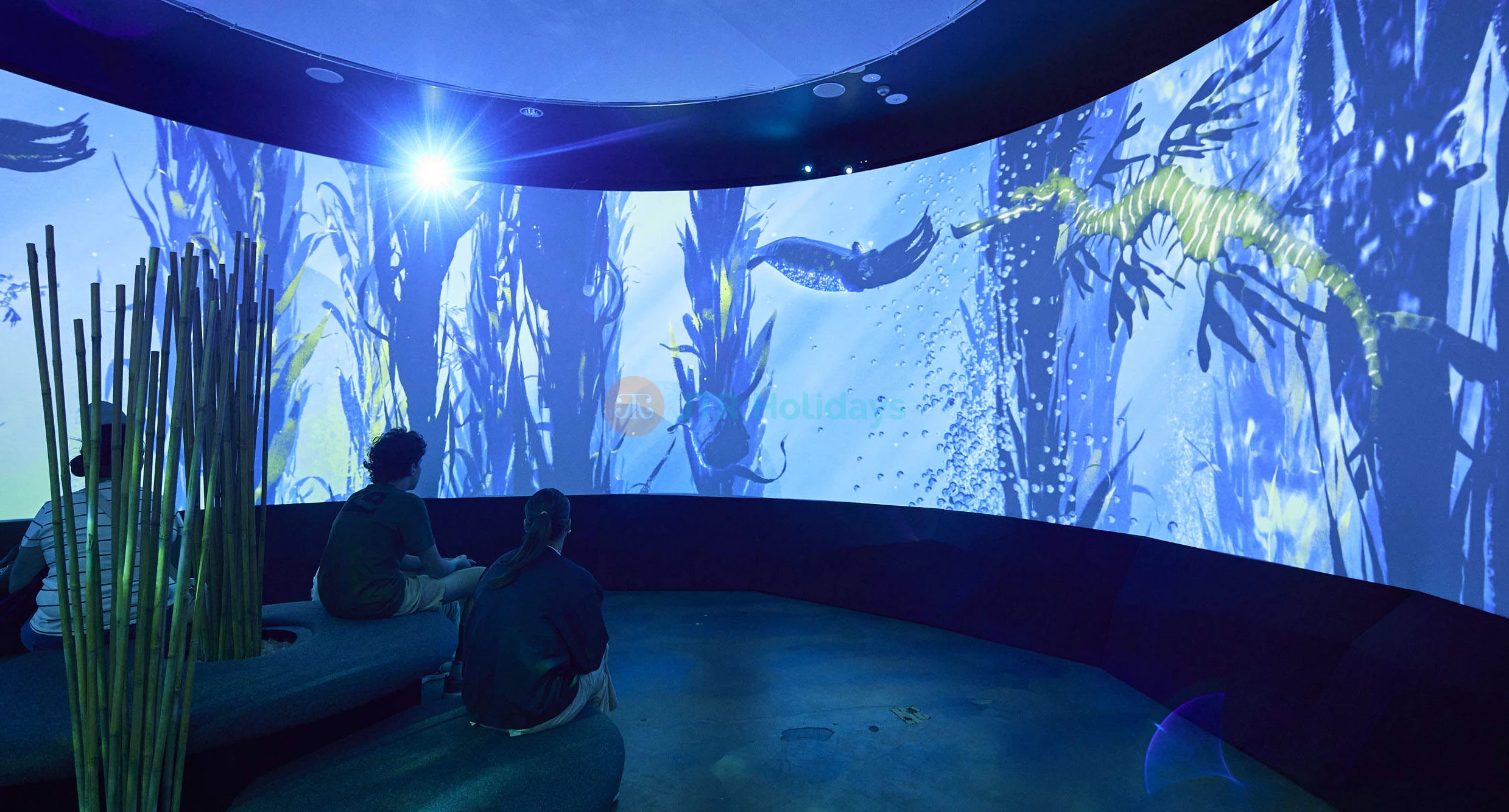 SEA LIFE Melbourne Aquarium - Image 1 of 5