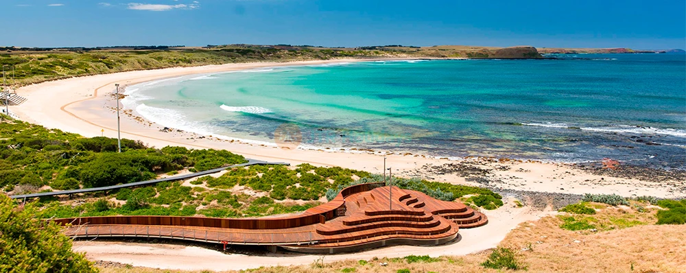 Entrada para el Desfile de Pingüinos en la Isla Phillip - Imagen 4 de 5