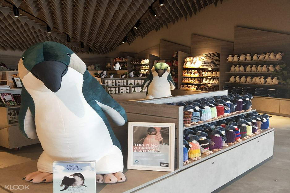 Phillip Island Penguin Parade Ticket - Image 5 of 5