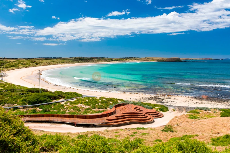 Phillip Island Penguin Parade Ticket