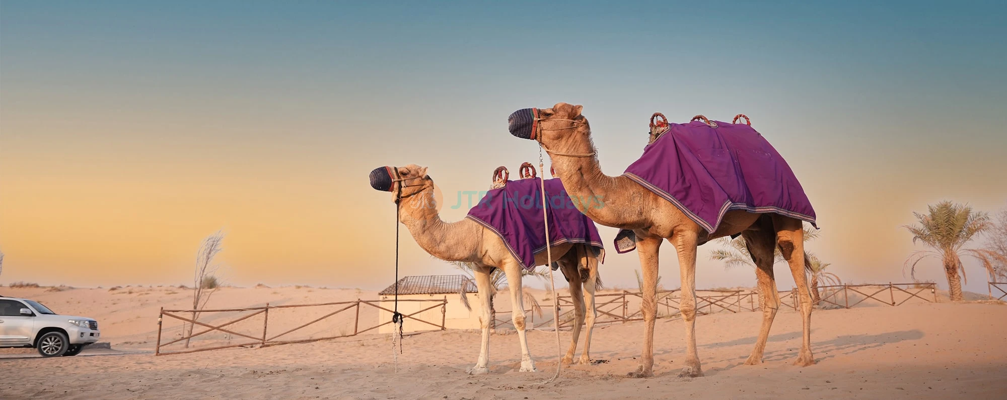 Dubai Deluxe Holidays package - Dubai Holiday Break - Dubai Trip | JTR Holidays - Image 3 of 5