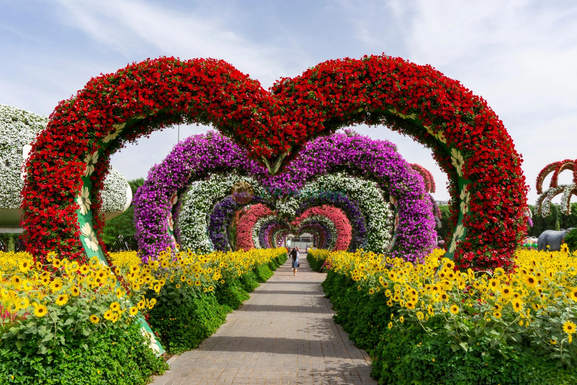 Dubai And Abu Dhabi Holiday Package Deals Offer - 7 Nights 8 Days - Image 17 of 22