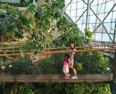 迪拜绿色星球 - 迪拜绿色星球,位于Citywalk。绿色星球旨在融合自然与自然科学,门票,优惠,价格。探索并与这座全沉浸式垂直热带森林中的奇异动植物世界互动。我们邀请您揭示热带森林在我们星球未来中所扮演的重要角色。 迪拜绿色星球 - 图片 5 的 5