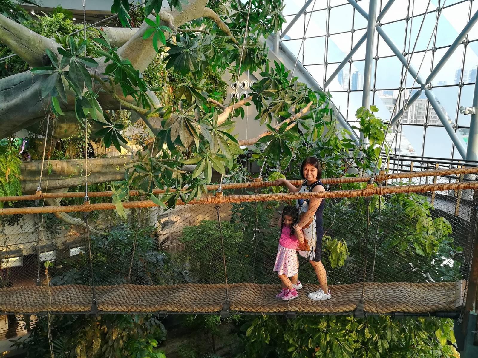 The Green Planet Dubai - The Green Planet Dubai, Located in Citywalk. The Green Planet was conceptualized to bring together nature and the science of nature, ticket, offers, price. Explore and interact with a whole new world of exotic flora and fauna in this fully immersive vertical tropical forest. We invite you to uncover the important role that tropical forest play in the future of our planet. The Green Planet Dubai - Image 5 of 5