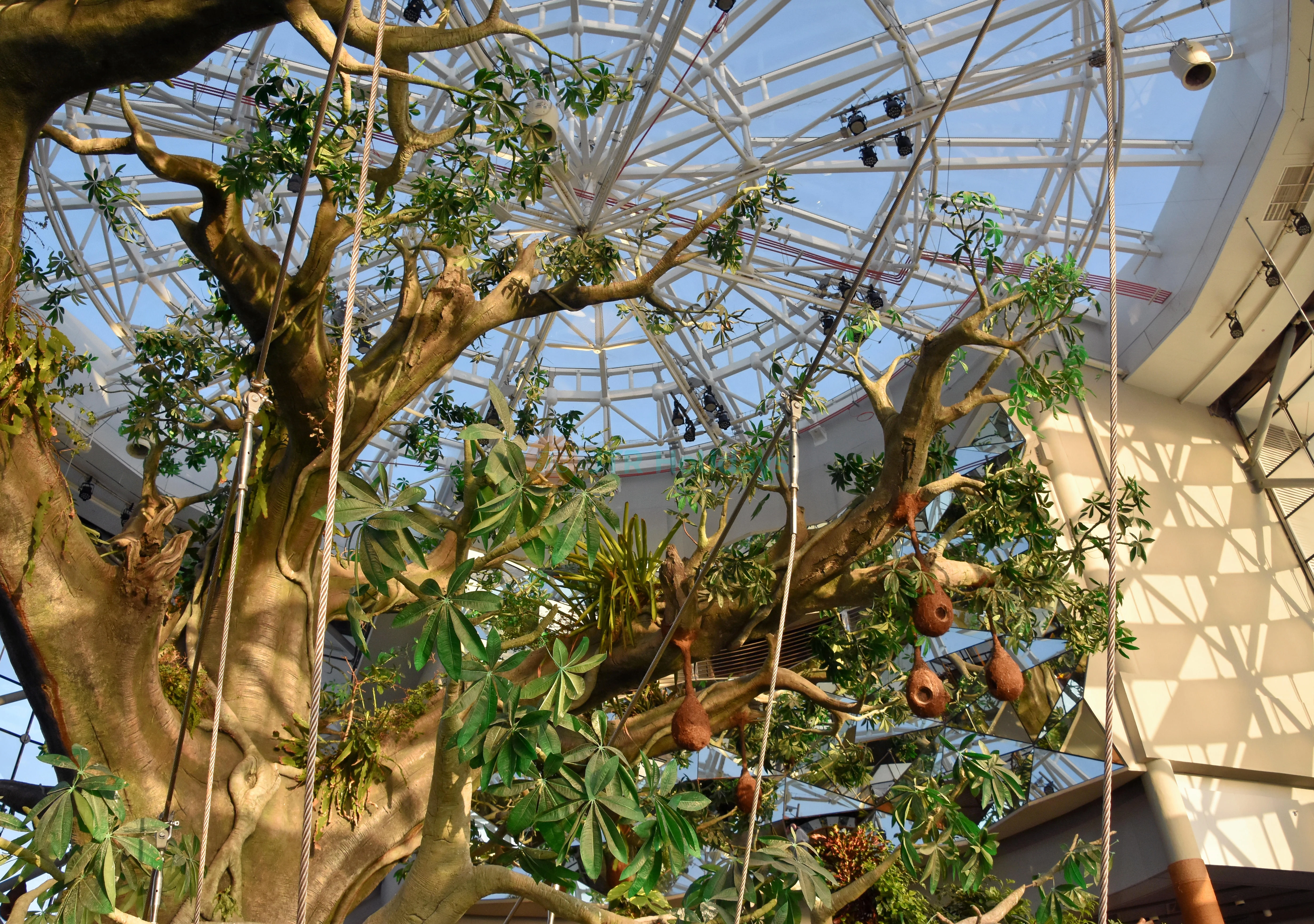 The Green Planet Dubai - Image 9 of 10